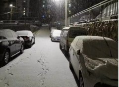 青島！大雪！大愛！