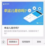 騰訊信用分全國(guó)公測(cè)，查了一下之后懵逼了。。