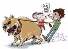 青島10月份一大波勁爆消息，你知道嗎？