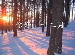 抓住2016年的尾巴給自己充充電！12月，加油！