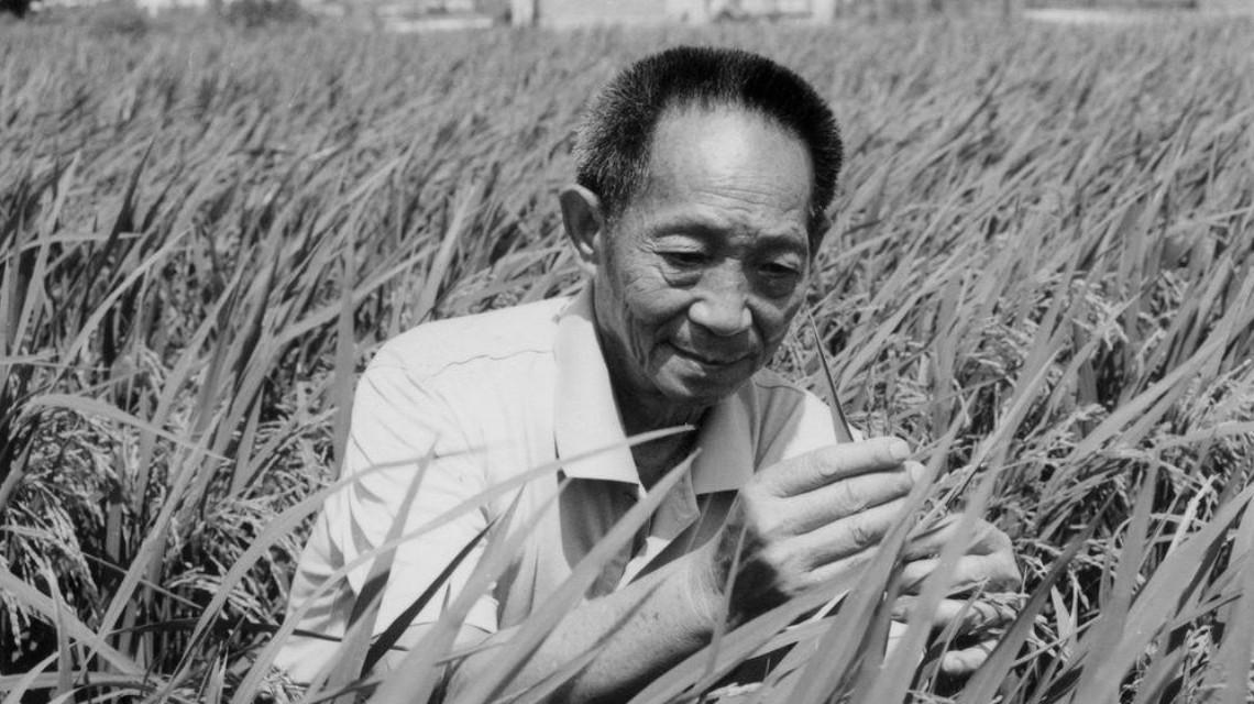 沉痛哀悼！袁隆平院士逝世